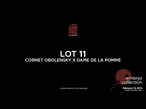 LOT 11. CORNET OBOLENSKY x DAME DE LA POMME
