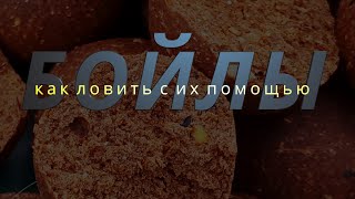 Как пользоваться рыболовными бойлами