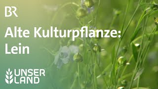 Alte Kulturpflanze: Lein in Bayern | Unser Land | BR Fernsehen