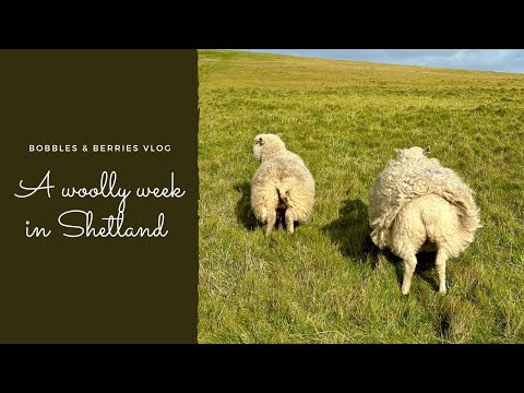 The Bobbles & Berries Podcast · Vlog 1 | A week in Shetland during Shetland Wool Week