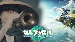[阿聖] 《薩爾達傳說 王國之淚》嗩吶重現 cover 
