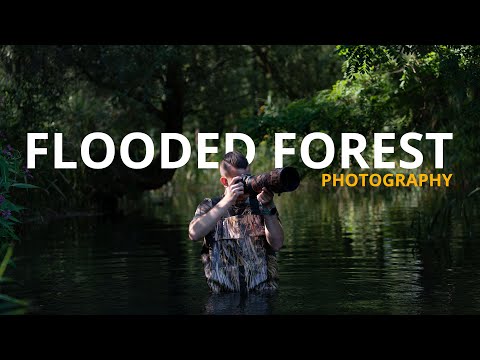 Exploring Mossy Earth’s flooded forest with my camera