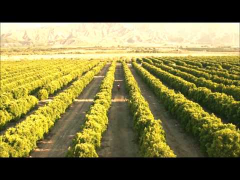 Avicii   Wake Me Up (EDX Miami Sunset Remix)(Oficial Video)