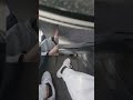 Bad Ass Breakfast Burrito Foodie Burrito Asmr