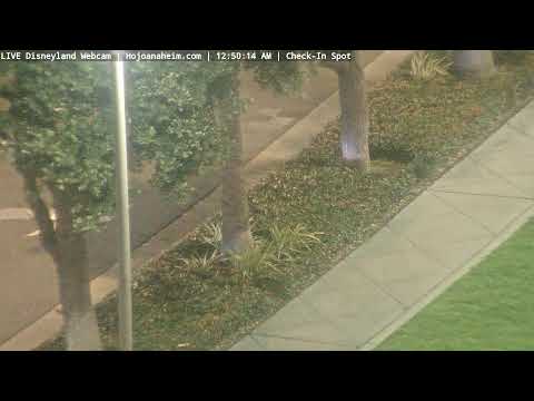 Live webcam of Disneyland Cam