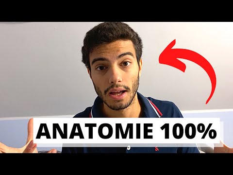 So habe ich immer 100% in Anatomie