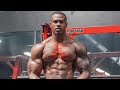 HOW TO BUILD A BIG CHEST - THE DETAILS