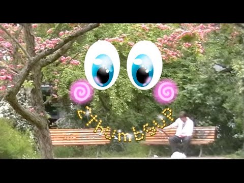 Evan Klar - 2 Thumbs Up (Official Video)