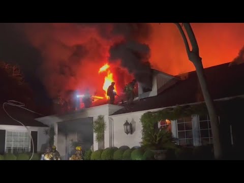 Cara Delevingne's LA home catches fire