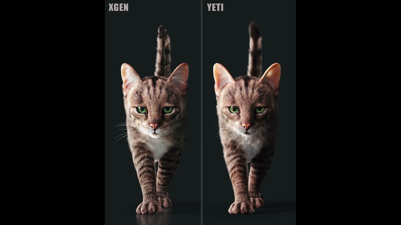 Xgen-Yeti comparison