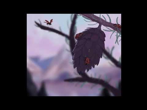 YOUTH Daughter (Cover) - Tacenda