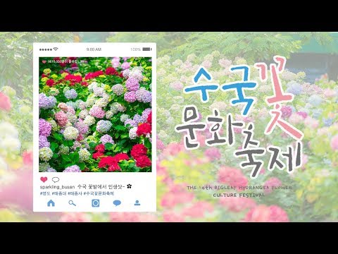 太宗台 繡球花