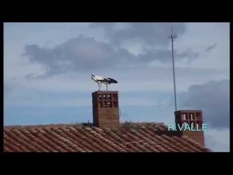 Secuencias de Garrovillas