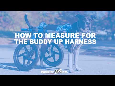 How to Measure for the Buddy--Up Harness