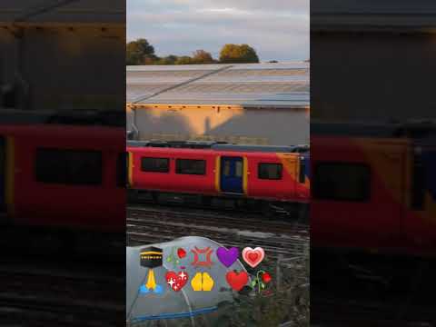 Dua#beautiful shorts