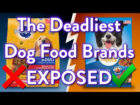 9 Dog Foods To AVOID (And The 2 That Are Worth It)