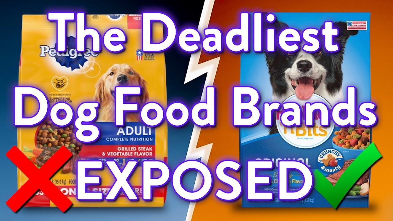 9 Dog Foods To AVOID (And The 2 That Are Worth It)