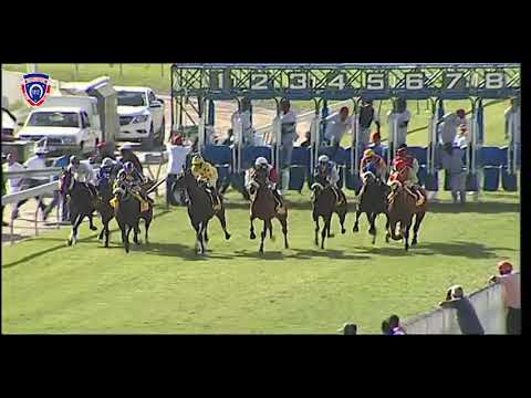 RM37 R7 | Lickerio | M.Martinez