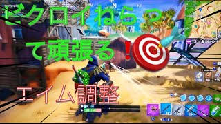 【フォートナイト】フォートナイトビクロイ狙ってエイム調整するお