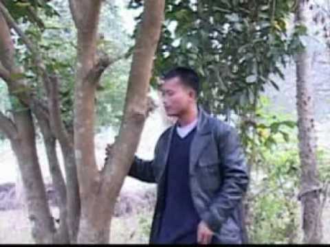 Nuthlawi Zun By Joshua L. Thiek