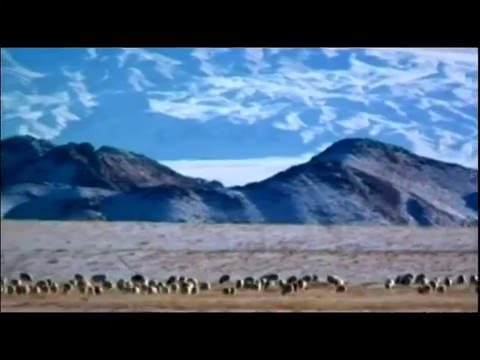 Уул ус маань үгүйлээд байдаг юм / Uul us maani uguildeg yum