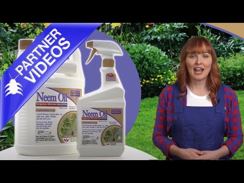  Bonide Neem Oil Ready To Use Video 
