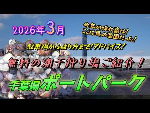 Chiba Port Park Video