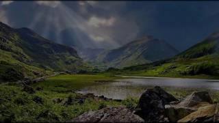 Mark Knopfler  -  I Will Never Love Again