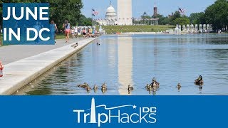 Tips for Visiting Washington DC in June