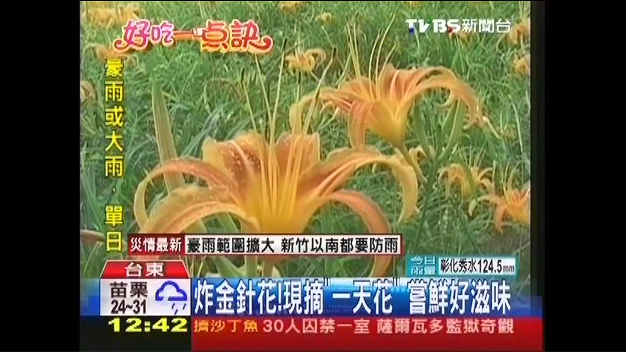 【好吃一點訣】賞花也吃花!炸金針酥脆 麵衣鎖花香