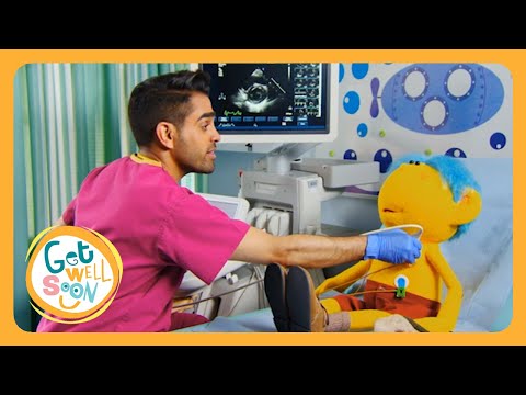 How does an Echocardiogram work? 💓