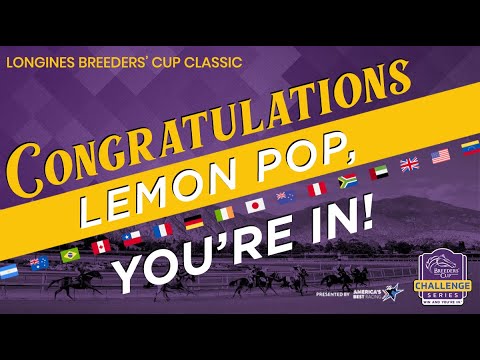 2023 February Stakes - Lemon Pop