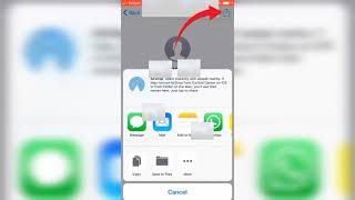 How to Import VCF (vCard Files) on iPhone for More WhatsApp Status View