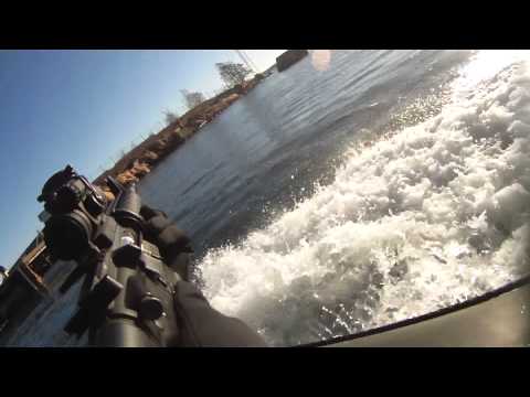 Alamo RIB day with rib-safari at Koirasaari