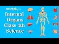 CBSE Class 4 Science Internal Organs Human Body NCERT Solution ICSE Science Video Lectures