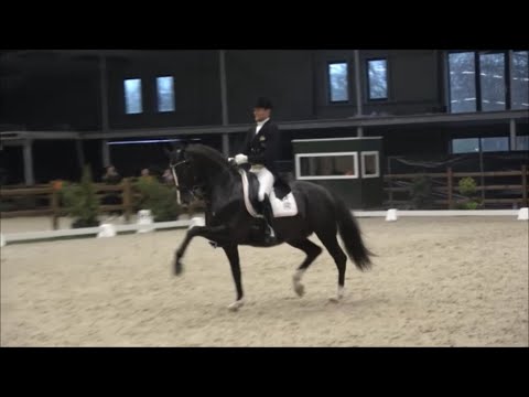 Glock's Total US von Totilas - Sir Donnerhall (Edward Gal) - Turnier Tolbert 2020