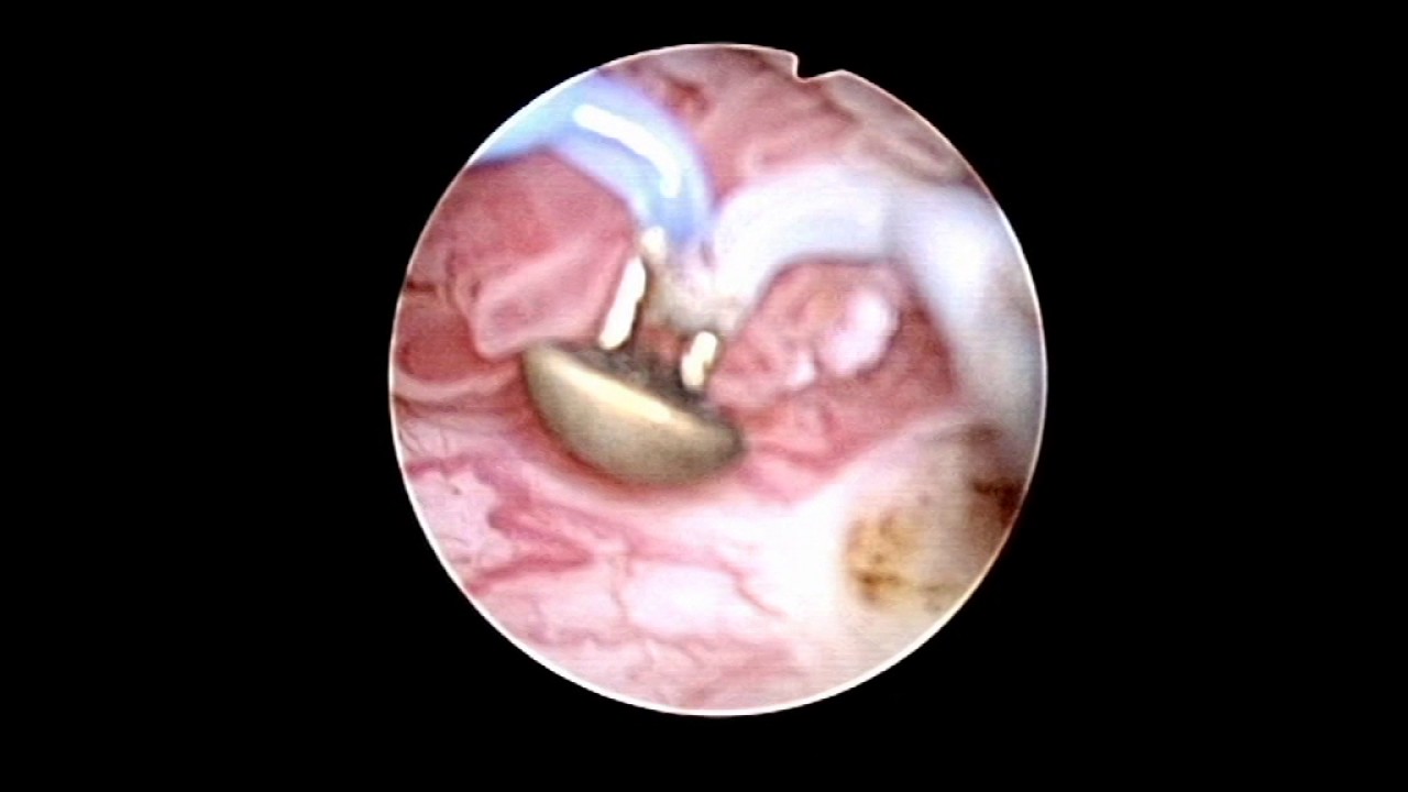 Gabriella Mirabile-5