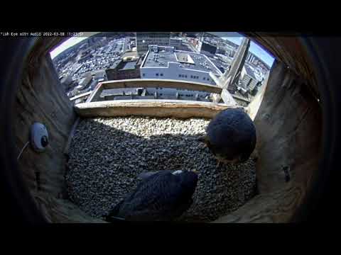 March 8 2022 Dance 1120AM