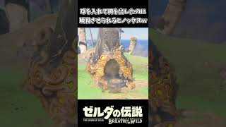 球を入れたのに瞬殺されるヒノックスｗｗ【ゼルダの伝説 ブレス オブ ザ ワイルド】