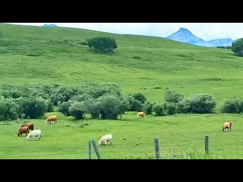 GLORIOUS VIEW | MASTER TIM
