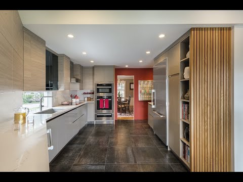 Featured Kitchen Remodel - European Contemporary Kitchen - Belmont, MA - Feinmann, Inc.