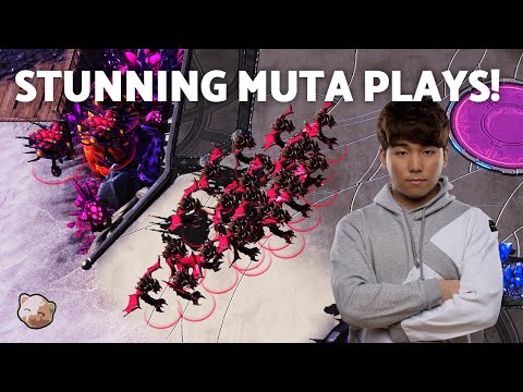 StarCraft 2 - THE BEST MUTA PLAY OF ALL TIME! (1-game ZvT)