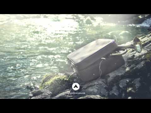 Guillem Roma - Back to the forest