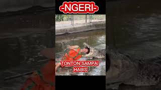 Download lagu ngeri, diterkam buaya #viral #shorts #shortsvideo mp3