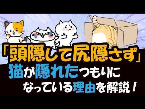うちの猫がお尻を床にこするのはなぜですか?