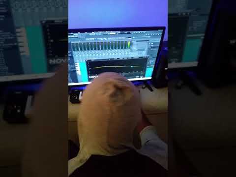 ILL DINERO COOKIN UP A BANGER 🔥FUTURE WOULD MURDER THIS BEAT. !!