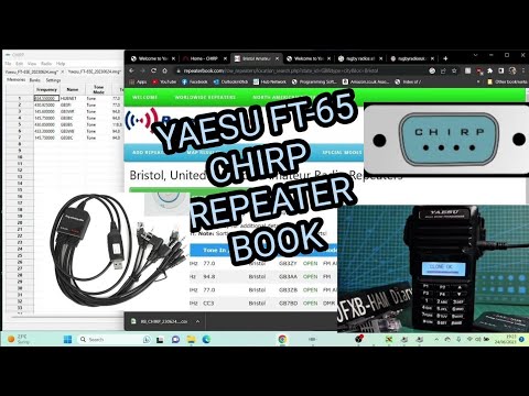 YAESU FT-65 , CHIRP - ALL IN ONE CABLE