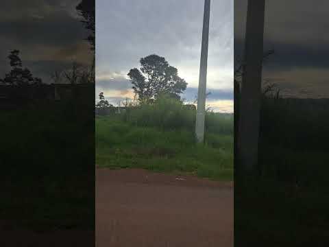 Trem passando no Erveira Nova Laranjeiras Paraná