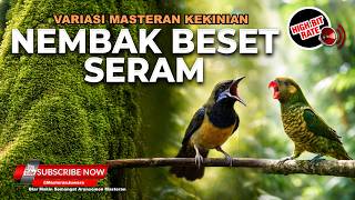 Download lagu 🔴 Live Rabu Masteran Tajam Cucak Cungkok Gacor Perkici Pantai Pedas vs Cucak Jenggot Speed Rapat mp3
