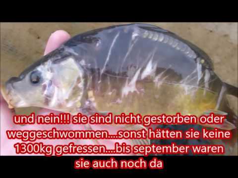 Der Grund für mein Wutausbruch...mit meinen Nachgeschlagenen zahlen